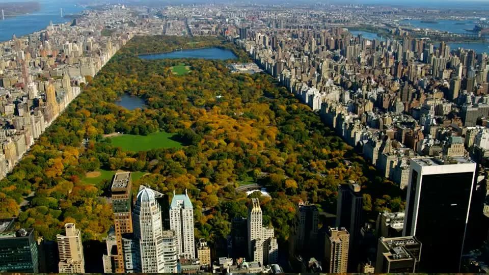 纽约上东区贵妇自述:为挤进精英妈妈圈,一个女人得有多拼