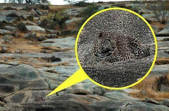 男子野外拍回很多照片,整理时发现不明物体,仔细一看阵阵后怕