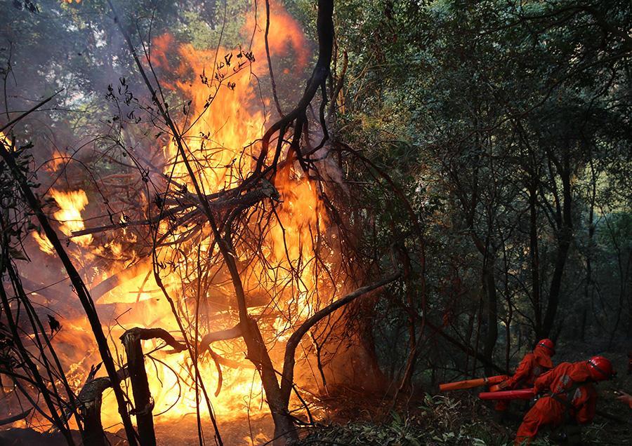 凉山冕宁发生火灾怎么回事?