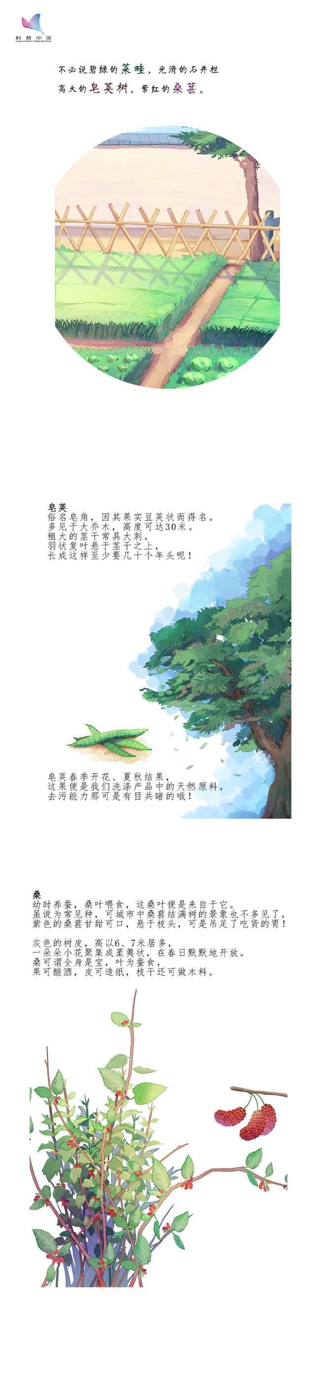 我们来鲁迅的百草园看看花,顺便也找了找"美女蛇"