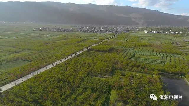 宜居、宜游、宜养 洱源稳步推动旅游产业发展