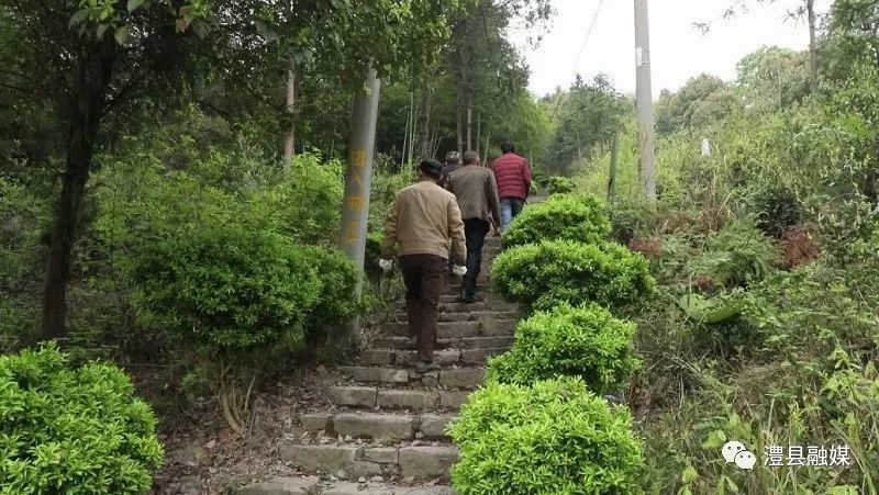 天供山森林公园:自采鲜花换鞭炮 杜绝火灾隐患