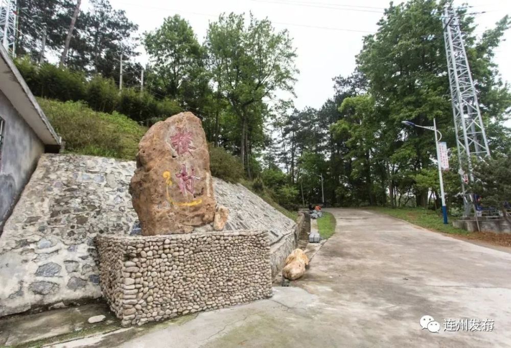 四月樓村杜鵑紅,約嗎?