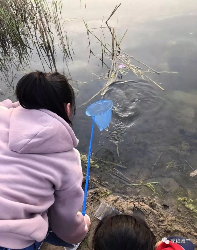 太不文明!清明假期睢宁花径公园竟然出现这一幕