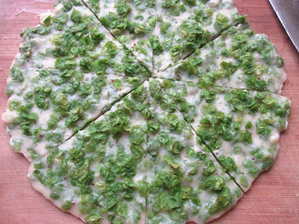 榆钱儿,榆钱小饼,简单易做,好吃,清心降火