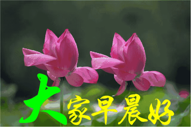 特漂亮早上好动态表情图2021,早晨好图片动画2021 早安祝福表情包