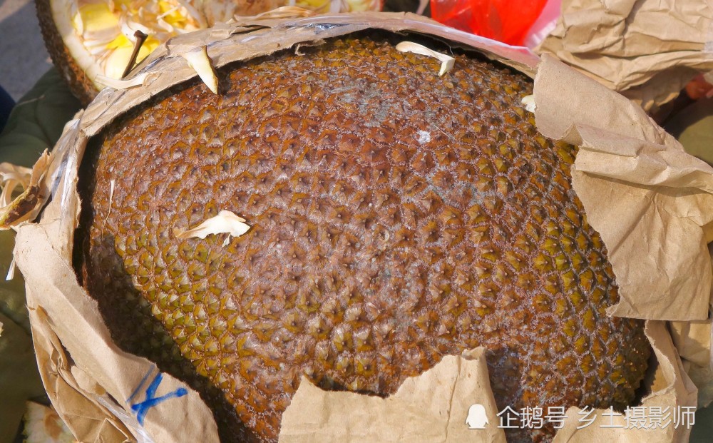 农村集上卖一种"稀罕果",深褐色表面带刺,大如西瓜这叫啥水果