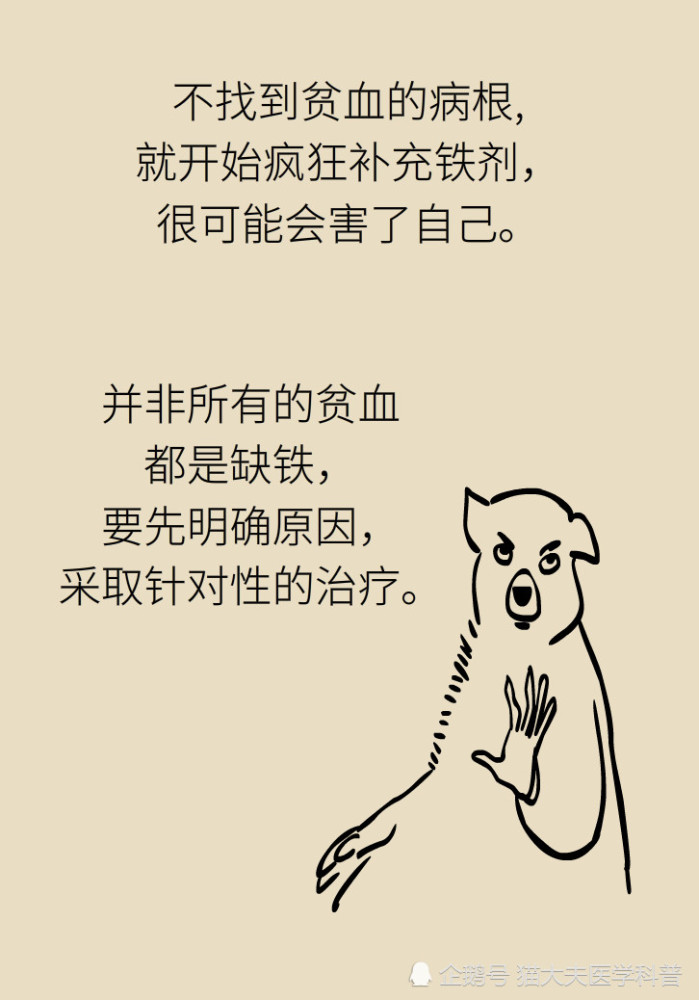 贫血不能盲目乱治乱补,要及时寻求医生帮助,对症下药