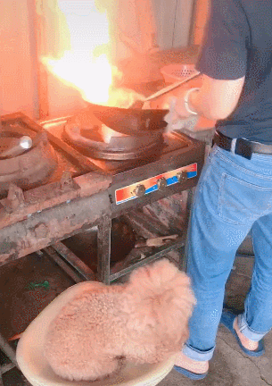 305_432竖版 竖屏gif 动态图 动图