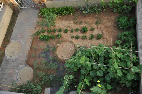 三春鸟,不吃四月鱼这句农村老话是啥意思