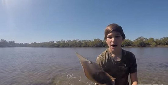 厉害了,国外15岁男孩徒手抓鲨鱼走红网络,不怕被咬死吗?