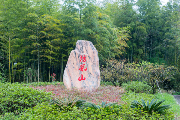 来自四川雅安的两只大熊猫,在下渚湖生活六年,每年花费500万