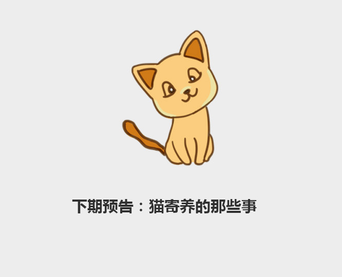 分分钟了解宠物知识——狗寄养的那些事,宠主出门没想得那么简单