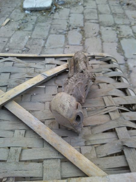 今河北省巨鹿县,底下是宋代的巨鹿古城,惊现不明生物?