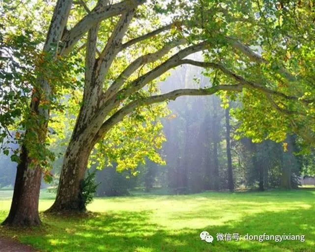 春光灿烂 4月11日至20日 哪些天是好日子?