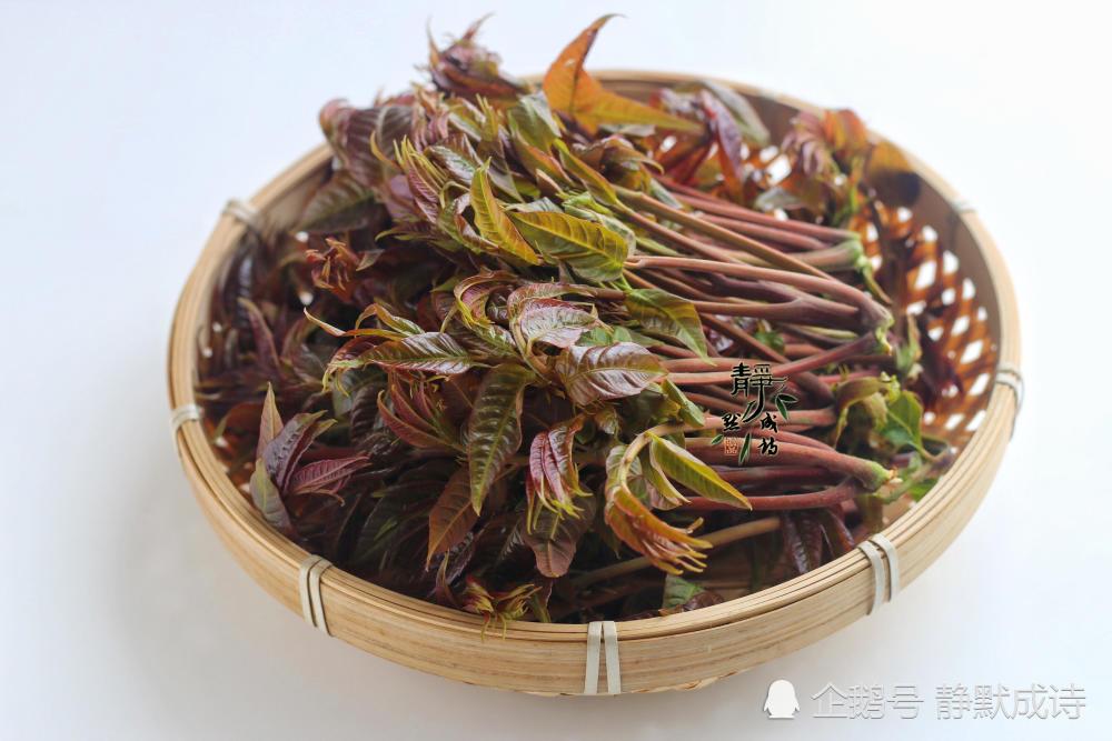 香椿怎么做好吃 腾讯网
