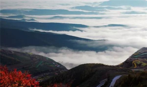 六盤山國家森林公園,石窟,丹霞地貌,須彌山,固原