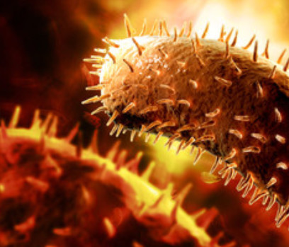 超级真菌专攻特定人群,致死率60%,抗感染专家