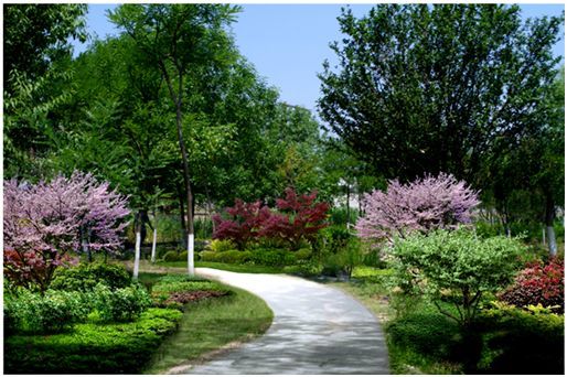 建文化广场天津又一公园提升改造