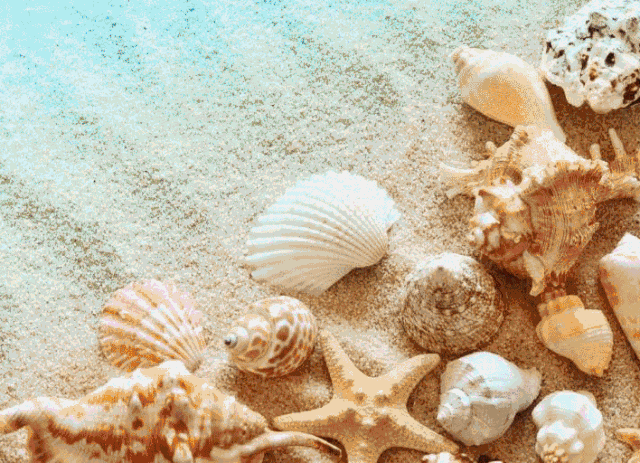 640_463gif 动态图 动图