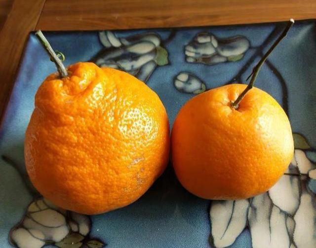 丑橘还是耙耙柑?别再傻傻分不清,还不清楚