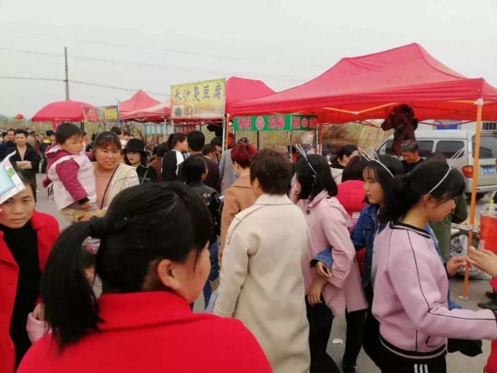 店头镇首届乡村桃花文化旅游节霸气来袭!你来了吗?