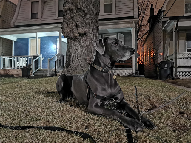 AndroidCentral | 性能强大还是最佳拍照手机