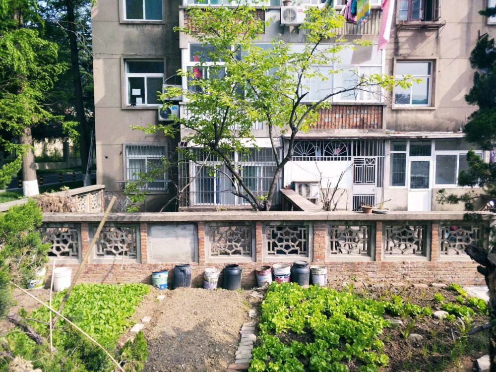 国立高校