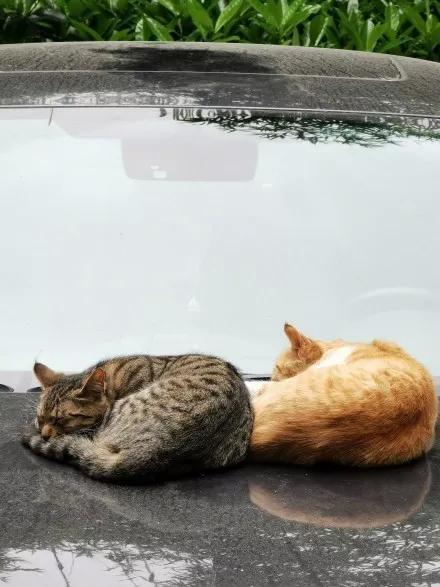 华为 P30 Pro 真能拍月亮吗?我们特意试了一下