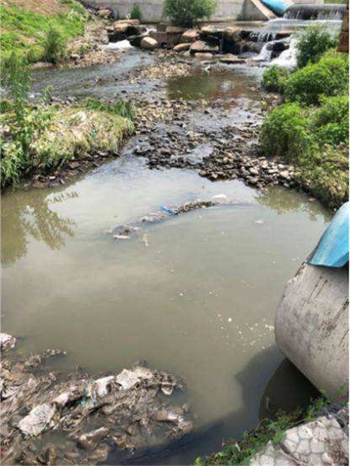 邢台某村庄臭气熏天,老远就能闻到鸡粪味儿!