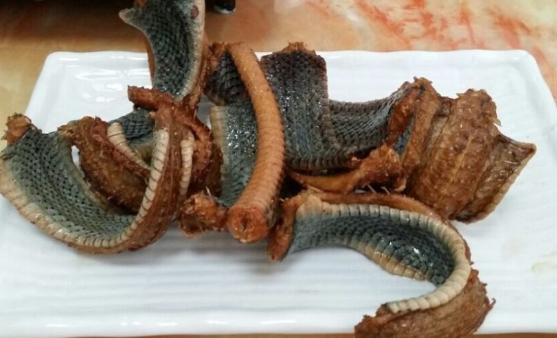 农村9大野味排行榜,最后两种冒着生命危险才能吃得到