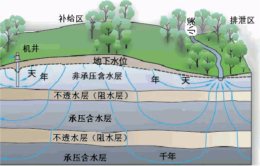 (7)地下水位:飽和帶地下水自由潛水面或承壓含水層水頭的高程水頭.