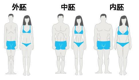 3种体型健身60天后的效果 如果你是中胚体型 那恭喜你了