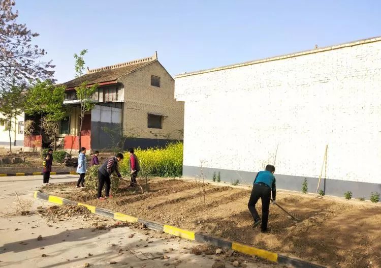 新兴街道全力推进人居环境整治工作