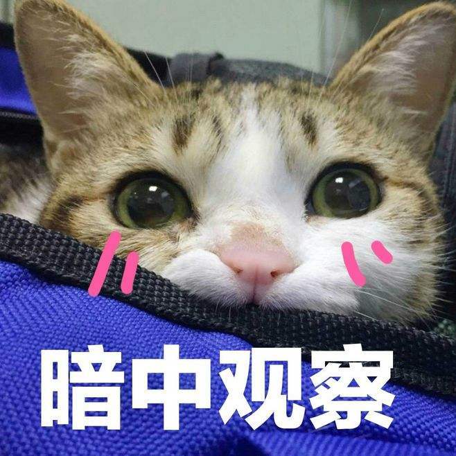又乖又怂表情包-千图网