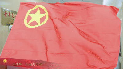 中国共青团,蚌埠