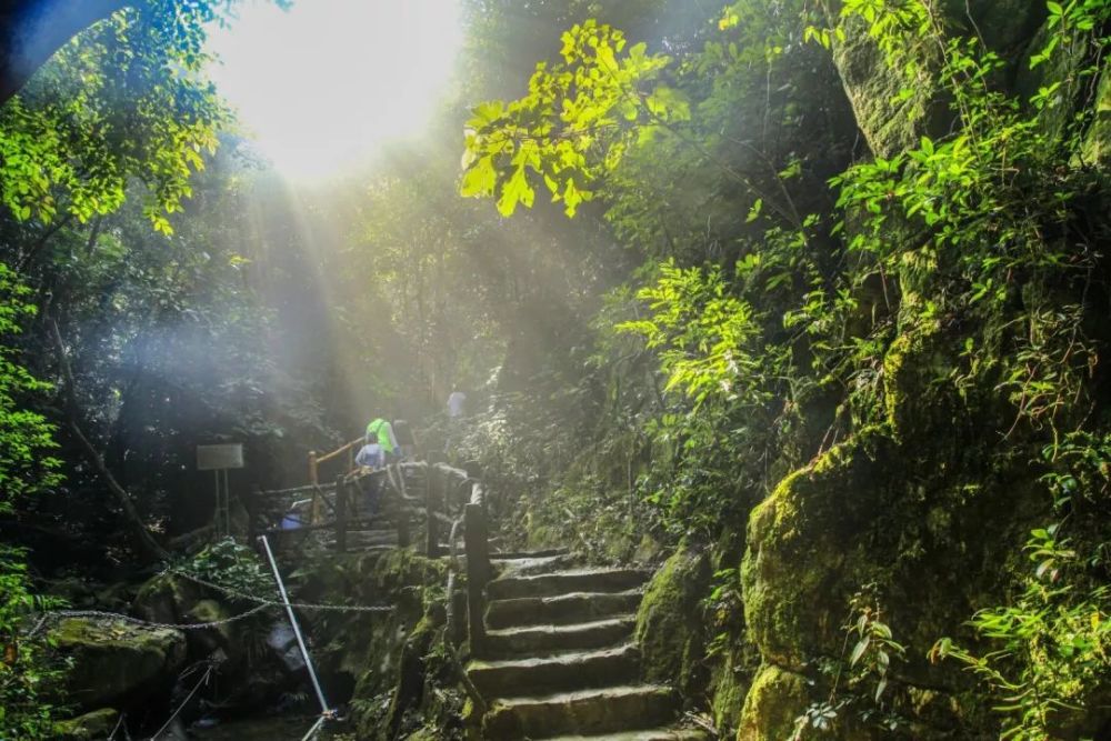 座標:佛山市三水區南山鎮(逕口農場)南丹山風景區