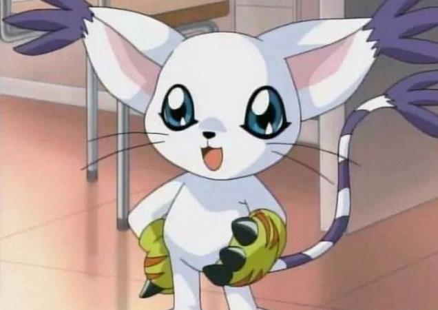 喵喵(进化为猫老大)——《宠物小精灵》赤丸——《火影忍者》布鲁托