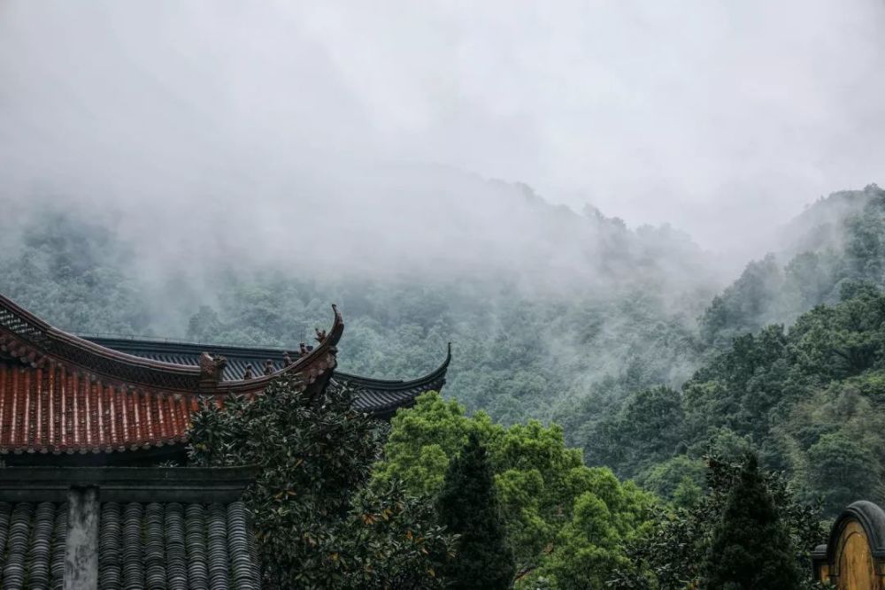 轮回转世的实例:明代理学家王阳明