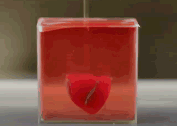 Organ 3D Printing Gif  : »»» Subscribe To The National To Watch More Videos Here.