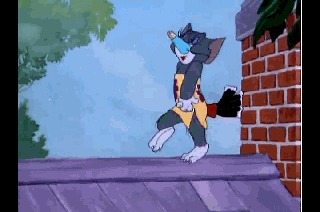 320_212gif 动态图 动图