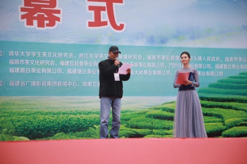 福鼎白茶品牌排行榜_福鼎白茶十大知名品牌