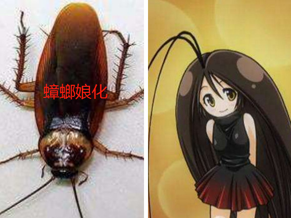 在日常生活中,我们的身边常常会出现一些必用的一些小生活用品,而这些