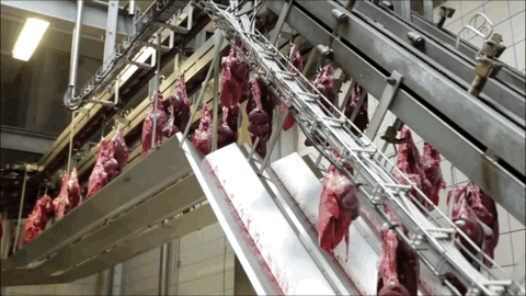 480_270gif 动态图 动图