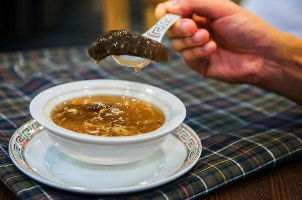 鲨鱼被人类割掉鱼鳍后放生,有什么后果?看完后你不会想吃鱼翅了