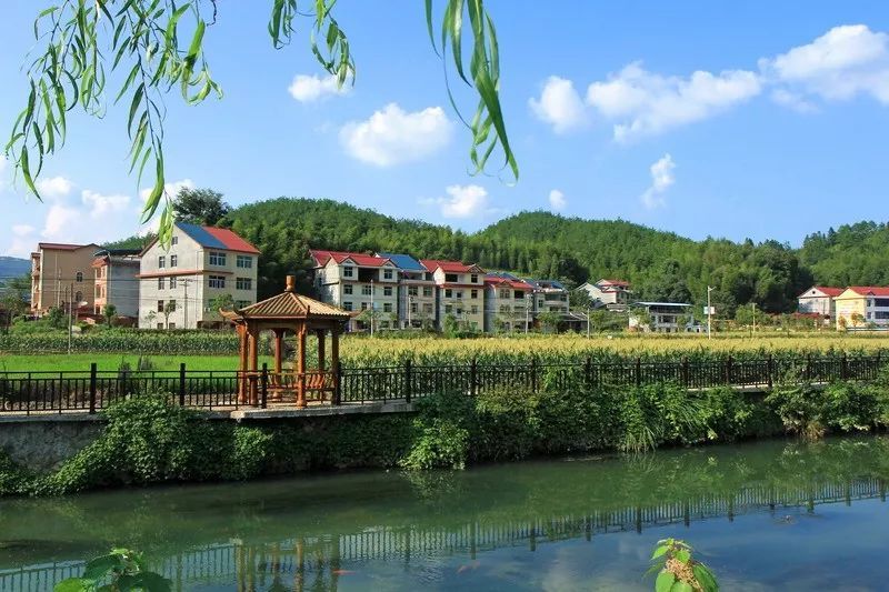 多项利好指向这儿!乡村振兴战略下,广汉农村的房子越来越漂亮了