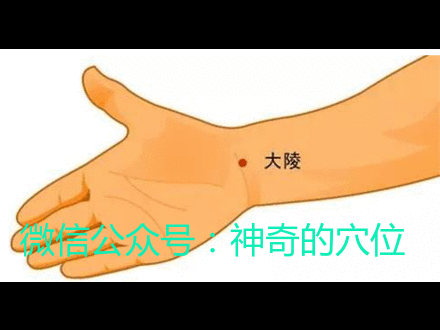 按手掌根一穴减肚子消口臭除宿便清火助眠一穴多用