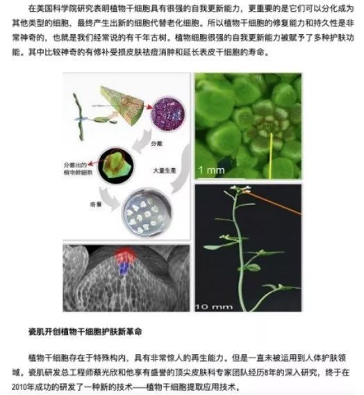 逆转衰老 今年护肤圈最火黑科技的真相是