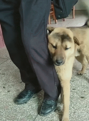 腾讯内容开放平台