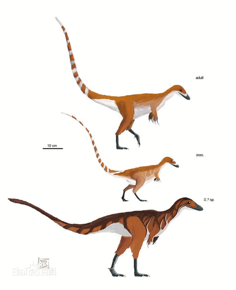 天天学普地 侏罗纪
